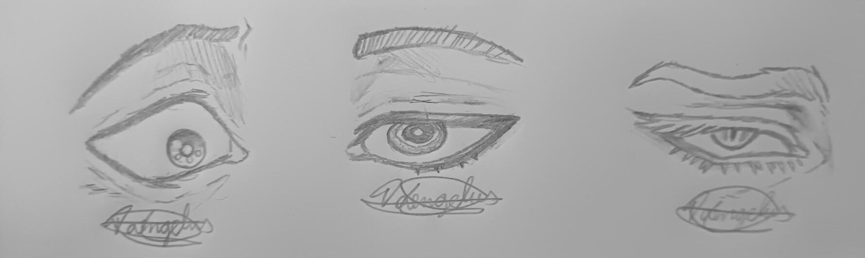1° Eye Study
